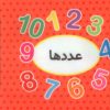 کتاب اولین کتاب تصویری من (عددها) | انتشارات تاووس