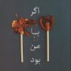 کتاب اگر با من بود | انتشارات نارنگی