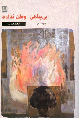 کتاب بی پناهی وطن ندارد | انتشارات فرهنگ ایلیا