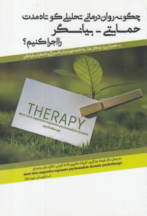 کتاب چگونه روان درمانی تحلیلی کوتاه مدت حمایتی - بیانگر را اجرا کنیم؟ | انتشارات پرنده
