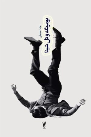 کتاب بومرنگ و دل شیدا | انتشارات شورآفرین