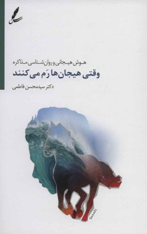 کتاب وقتی هیجان ها رم می کنند | انتشارات سایه سخن