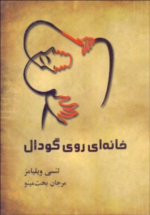 کتاب خانه ای روی گودال | انتشارات مینو
