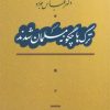 کتاب ترک‌ها چگونه مسلمان شدند | انتشارات آیدین