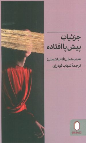 کتاب جزئیات پیش‌پا افتاده | انتشارات کتابسرای میردشتی