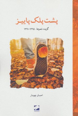 کتاب پشت پلک پاییز | انتشارات لوح فکر