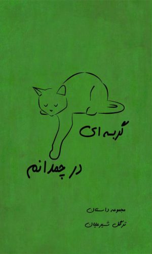 کتاب گربه ای در چمدانم | انتشارات جاودان خرد