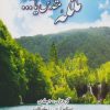 کتاب ملکه مقدس یا… جلد 2 | انتشارات پیام آزادی