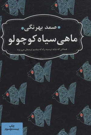 کتاب ماهی سیاه کوچولو (جیبی) | انتشارات عطر کاج
