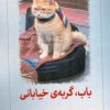 کتاب باب گربهی خیابانی | انتشارات دیدآور