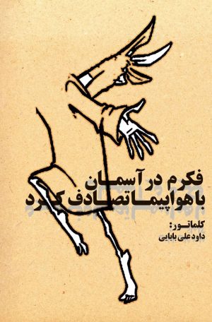 کتاب فکرم در آسمان با هواپیما تصادف کرد | انتشارات امید فردا