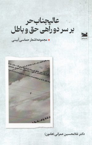 کتاب عالیجناب حر بر سر دوراهی حق و باطل | انتشارات خزه