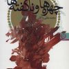 کتاب چهره ها و ناگفته ها | انتشارات نشر تهران