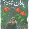کتاب باران که ببارد | انتشارات جمال