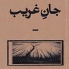 کتاب جان غریب | انتشارات بان