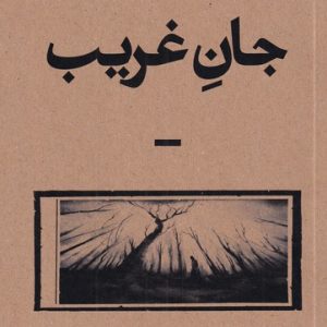 کتاب جان غریب | انتشارات بان