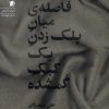 کتاب فاصله‌ی میان پلک زدن یک کبک گمشده | انتشارات سیب سرخ