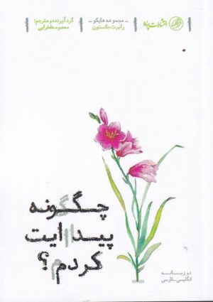 کتاب چگونه پیدایت کردم | انتشارات پرنده