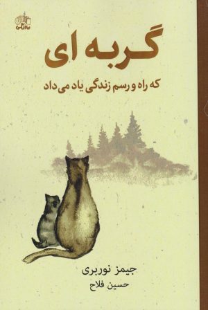 کتاب گربه‌ای که راه‌ و رسم زندگی یاد می‌داد | انتشارات نارنگی