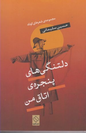 کتاب دلتنگی های پنجره اتاق من | انتشارات ناصرالدین