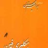 کتاب هکلبری فین | انتشارات کلاغ
