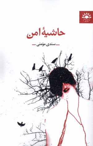 کتاب حاشیه امن | انتشارات آفتابکاران