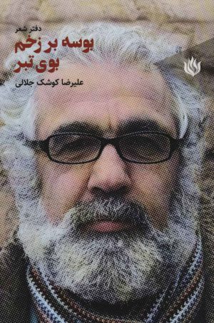 کتاب بوسه بر زخم بوی تبر | انتشارات مهر نوروز