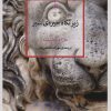 کتاب زیر نگاه خیره‌ی شیر | انتشارات کتاب کنج