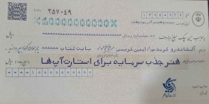 کتاب هنر جذب سرمایه برای استارتاپ ها | انتشارات آریانا قلم