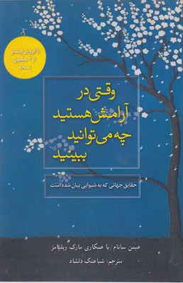 کتاب وقتی در آرامش هستید چه می توانید ببینید | انتشارات آسمان نیلگون
