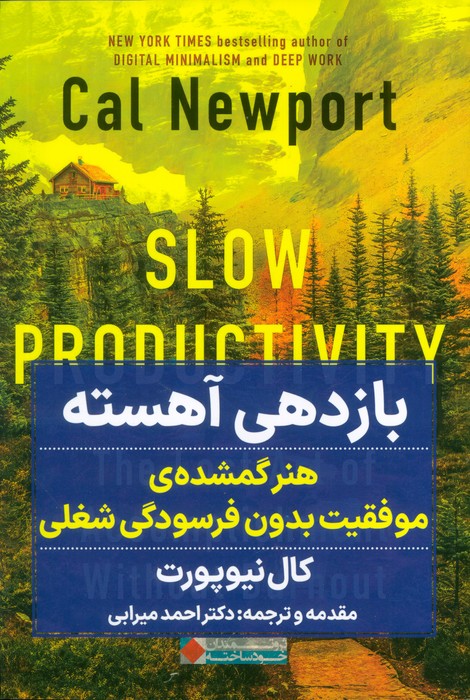 کتاب بازدهی آهسته | انتشارات نگاه نوین