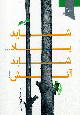 کتاب شاید باد... شاید آتش! | انتشارات ورجاوند