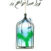 کتاب تو را صدا خواهم زد | انتشارات مهر نوروز