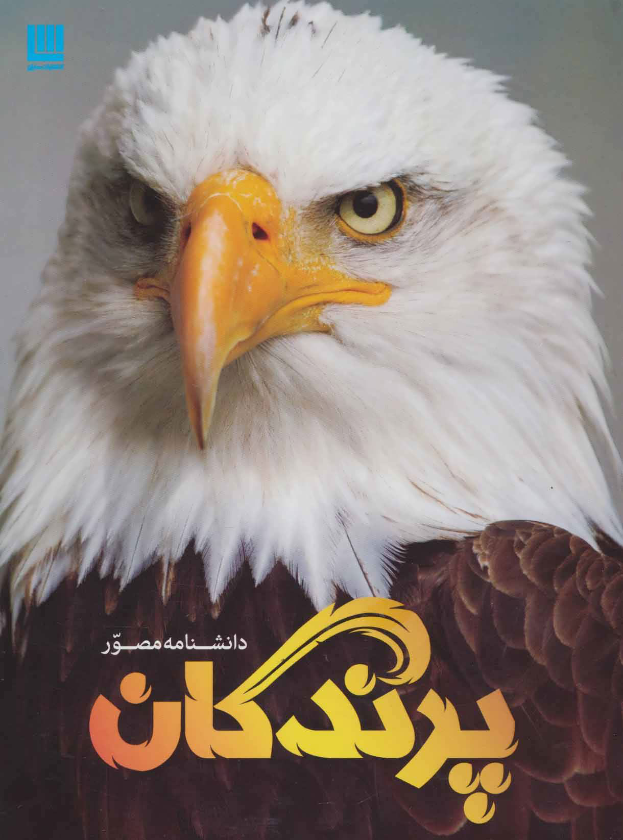 کتاب دانشنامه مصور پرندگان | انتشارات سایان