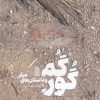 کتاب گور گم | انتشارات نظام الملک
