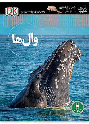 کتاب وال ها | انتشارات فنی ایران نردبان