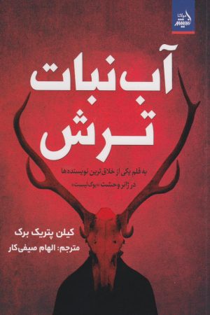کتاب آب‌نبات ترش | انتشارات اندیشه مولانا