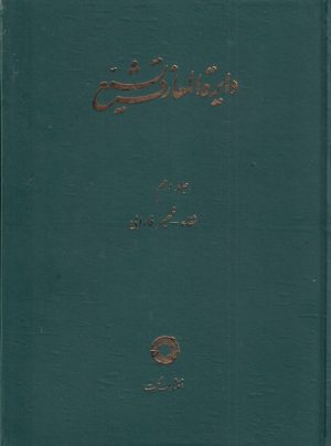 کتاب دایره المعارف تشیع (10) | انتشارات حکمت