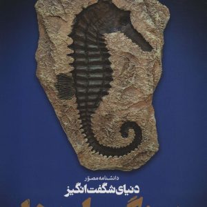 کتاب دانشنامه مصور دنیای شگفت انگیز سنگواره ها | انتشارات سایان