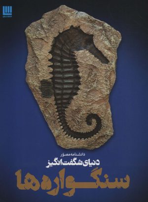 کتاب دانشنامه مصور دنیای شگفت انگیز سنگواره ها | انتشارات سایان