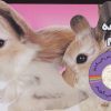 کتاب ببین چه نرمه موهام | انتشارات جابیرو