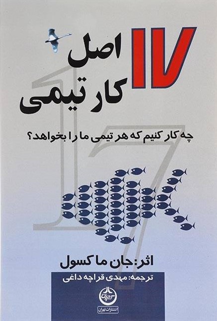 کتاب 17 اصل کار تیمی | انتشارات نشر تهران