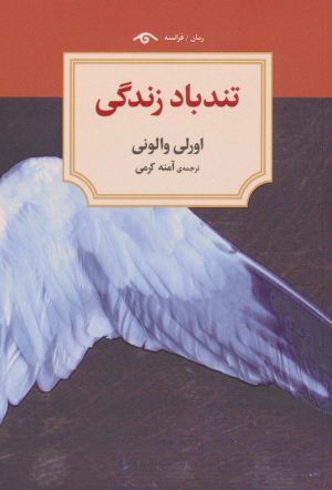 کتاب تندباد زندگی | انتشارات دیدآور