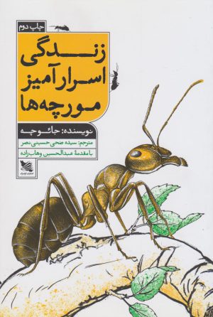 کتاب زندگی اسرار آمیز مورچه ها | انتشارات گوتنبرگ