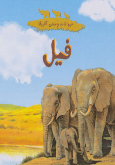 کتاب فیل | انتشارات چکه