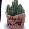 کتاب یک بغل کاکتوس | انتشارات سپیده باوران