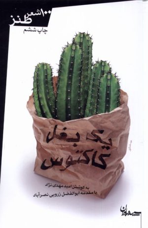 کتاب یک بغل کاکتوس | انتشارات سپیده باوران