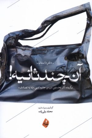 کتاب آن چند ثانیه (دفتر داستان) | انتشارات بامداد نو