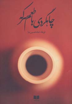 کتاب چاهگردی با طعم سرکه | انتشارات آدمیت