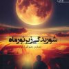 کتاب شوریدگی زیر نور ماه | انتشارات آراسبان